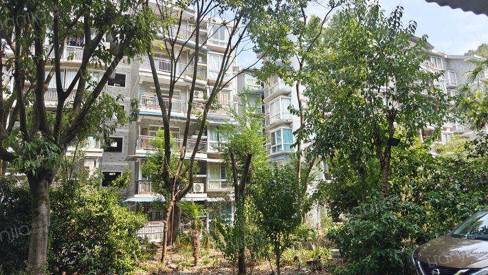 鼎秀风林外景图