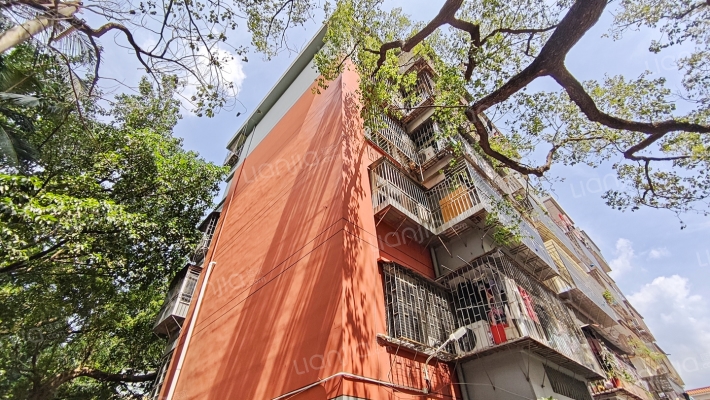 29号大院西区外景图