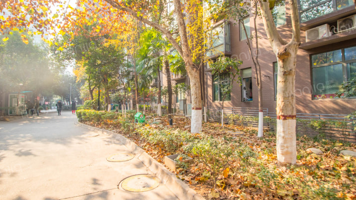 摩登主场外景图