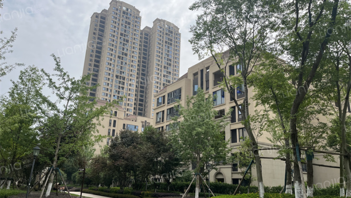 新城悦隽盛世外景图