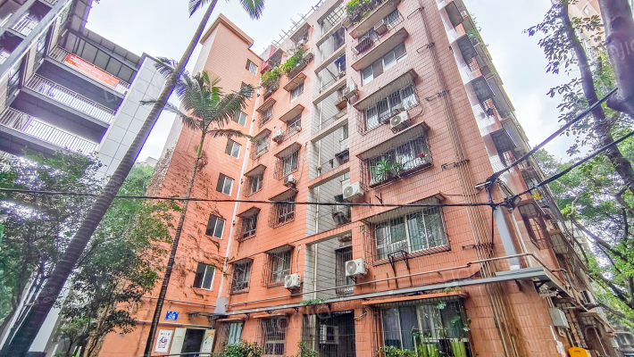 谢家湾正街外景图