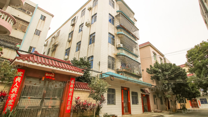 同乐西路南八街11号外景图