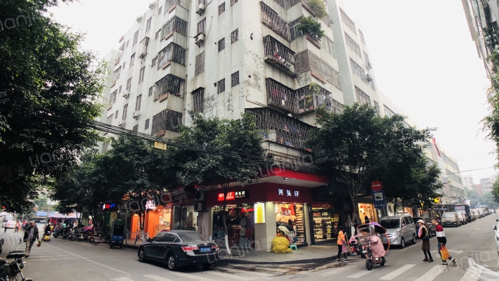 罗村新湖一路25号外景图