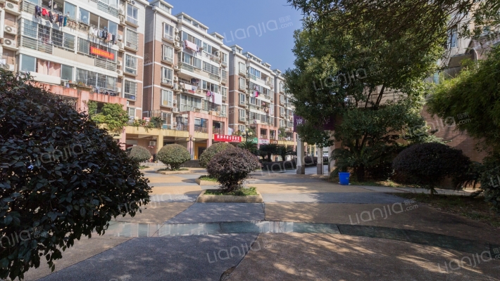 枫林绿洲外景图