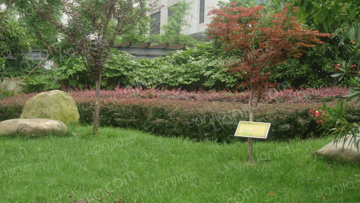 财富兴园外景图