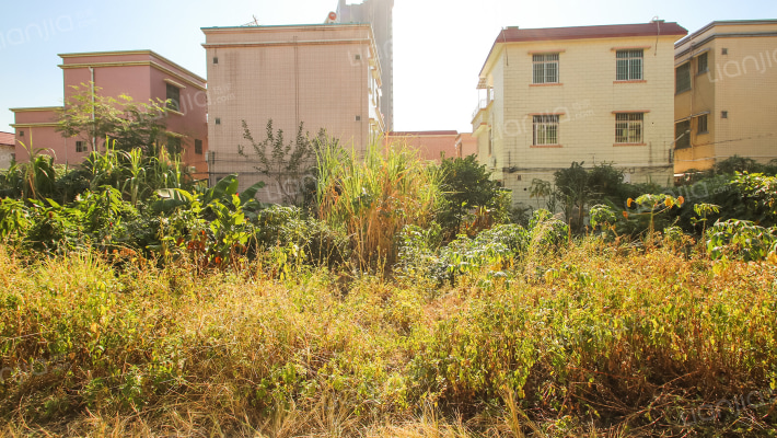 新禧街四巷4号外景图