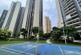 碧桂园四季阳光户型图实景图