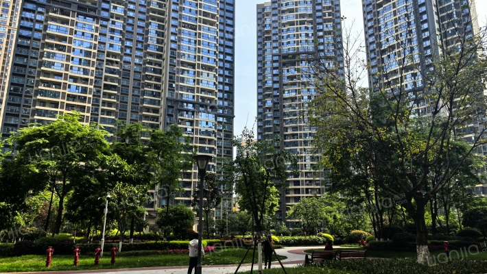 卓锦万黛外景图