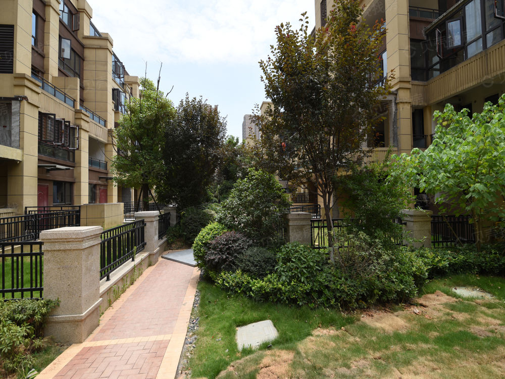 芙蓉万国城moma相册