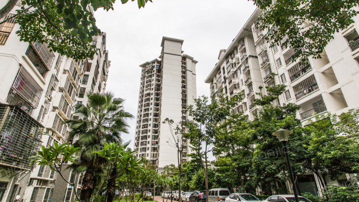 杏北新城一组团外景图