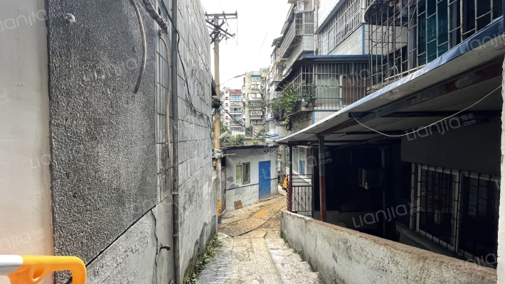 新添大道南段13号外景图