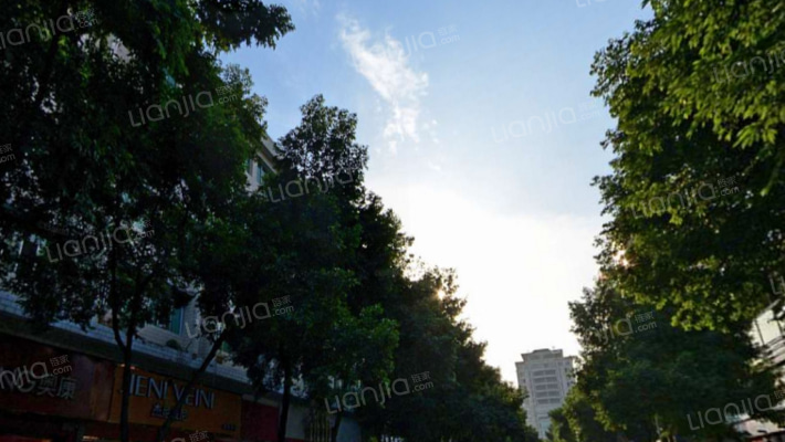 文庙街17号外景图