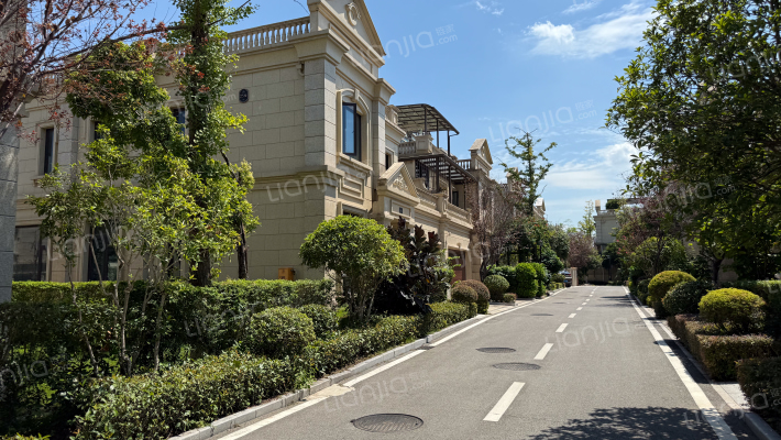 金科岭上A区外景图