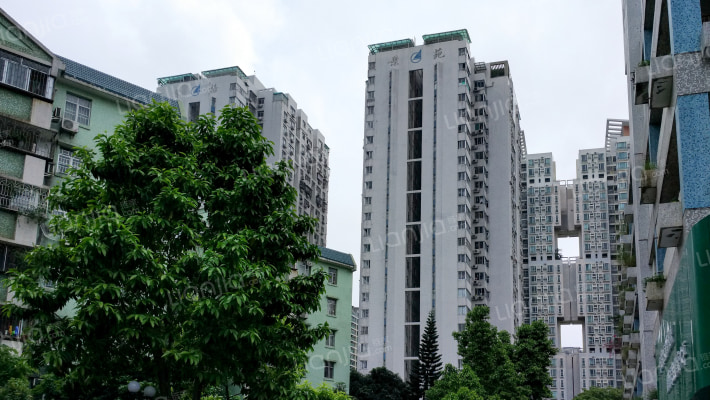 赛格景苑外景图