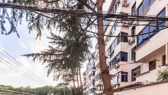 南田村36号外景图