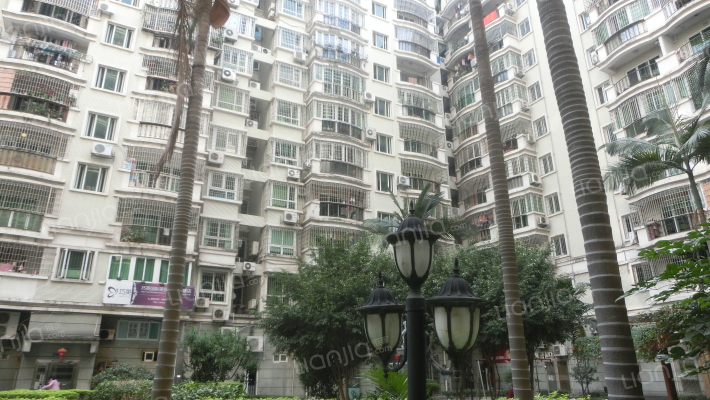 紫荆园_厦门紫荆园二手房|房价|租房【厦门贝壳找房】