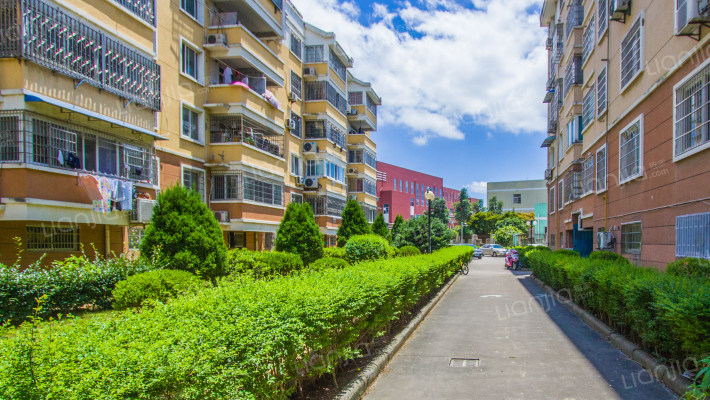 东裕新村B区外景图