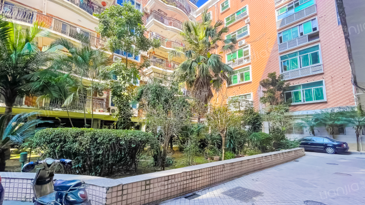 东方明珠外景图