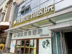星宸国际实景图