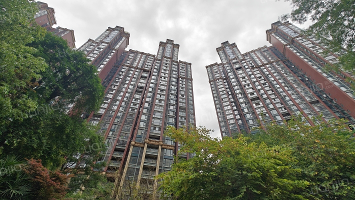 天府美岸外景图