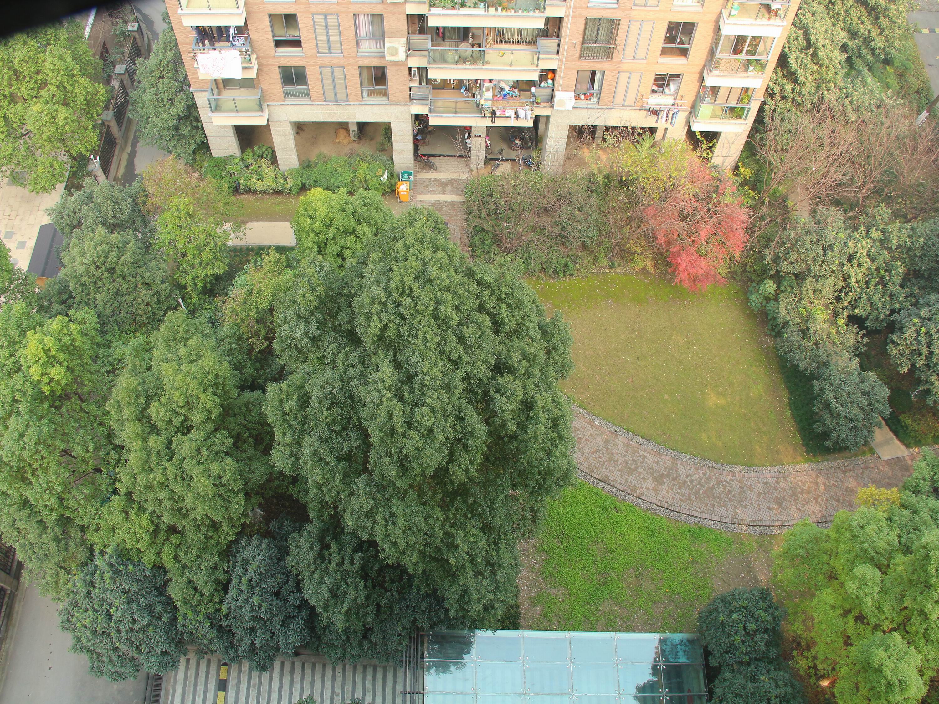 New Century City compound photo 22