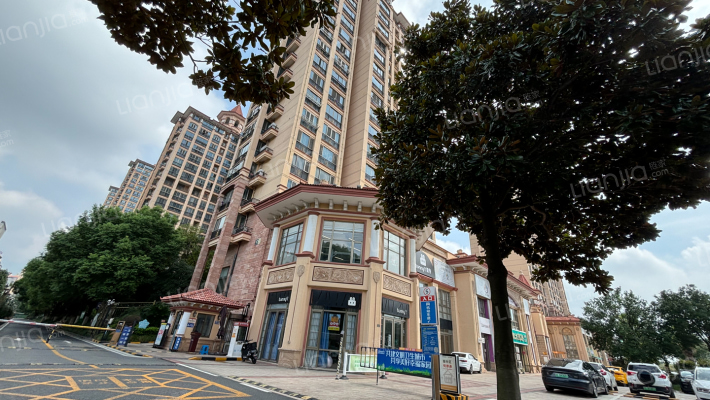 金新城悦府外景图