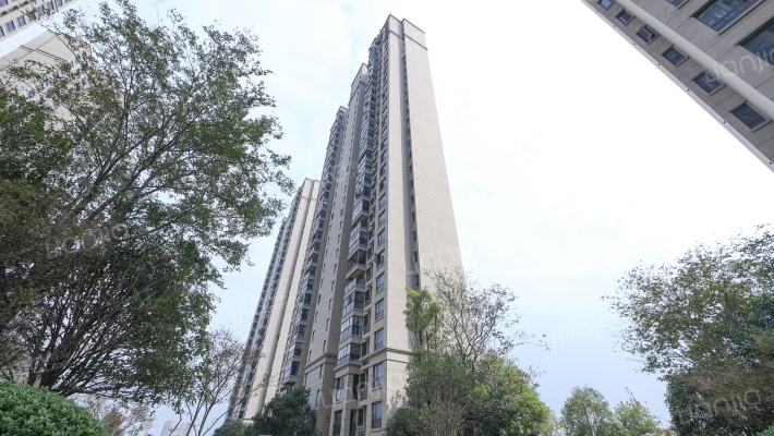 新力银湖湾外景图