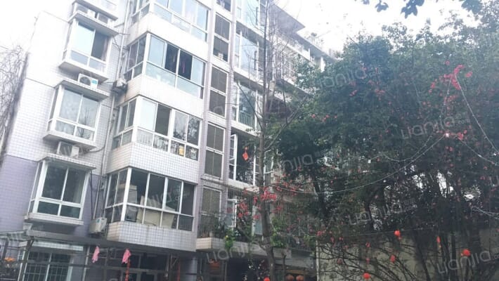 天彩菁华外景图