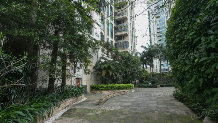 卓越浅水湾外景图