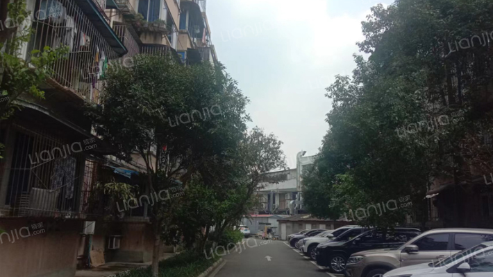 安蓉路3号外景图