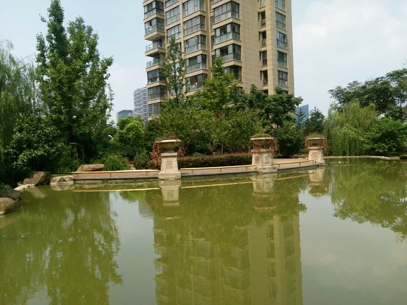 积家小区实景 32