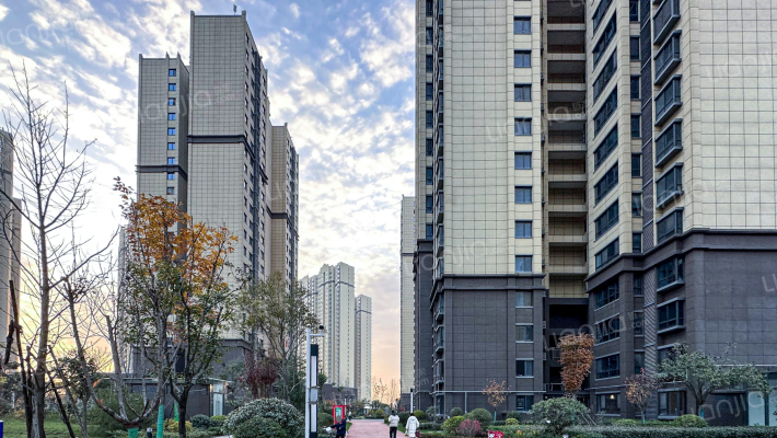 金旅·南星台外景图