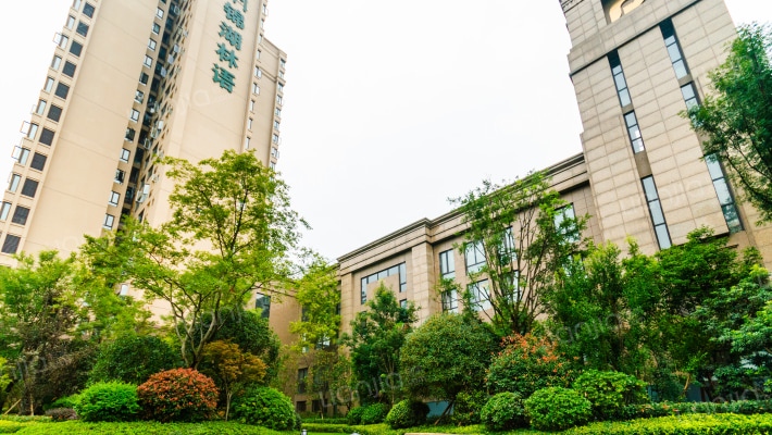 保利锦湖林语南区外景图