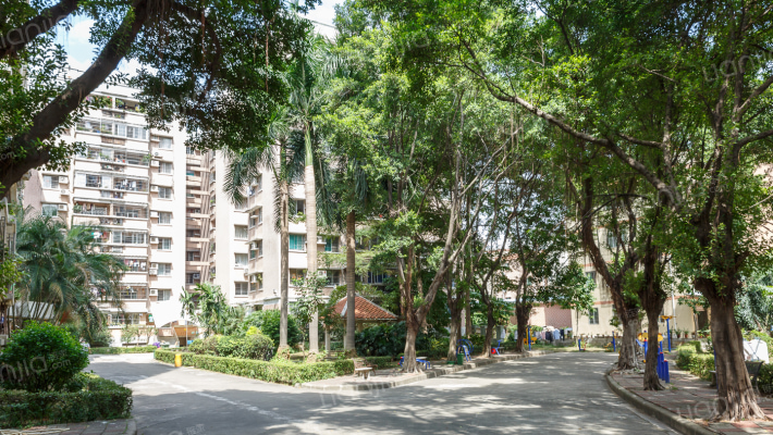 园林局宿舍外景图