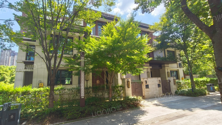 中建御湖壹号B御墅外景图