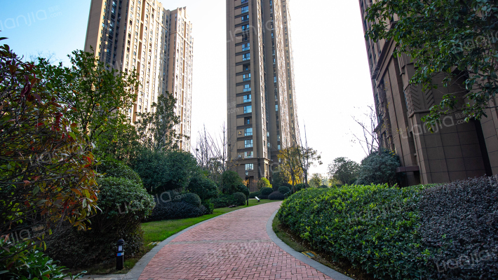 统建天成美景外景图