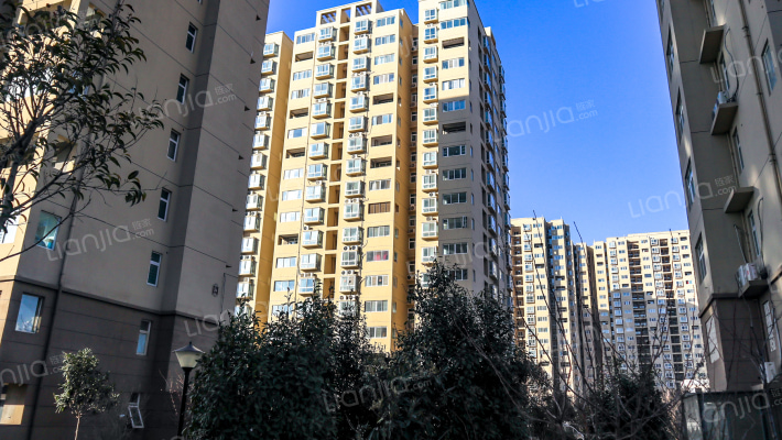 中原人家南院外景图