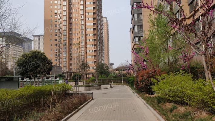 大兴九臻外景图