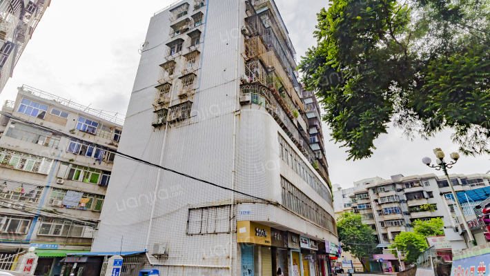 桃园阁小区外景图