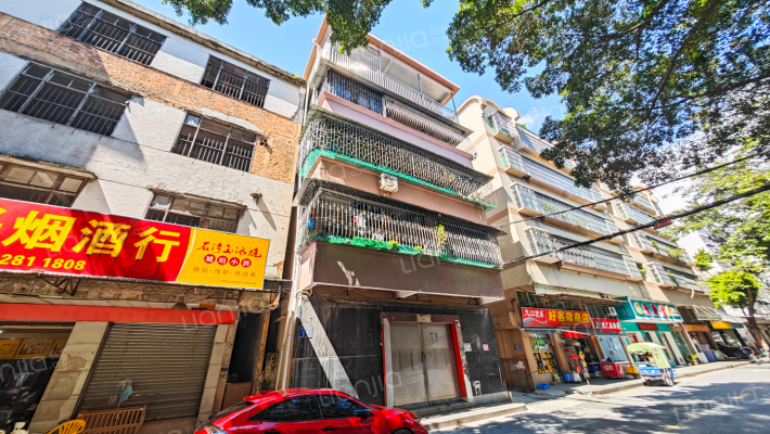 东升直街（南海）外景图