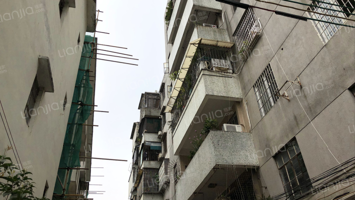 田心社区外景图