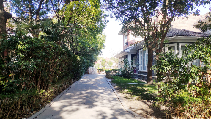 东方夏威夷外景图