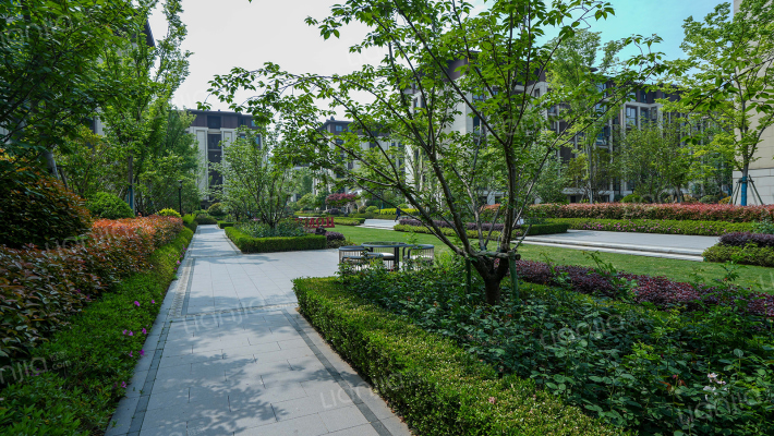 绿城云栖玫瑰园外景图