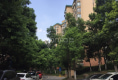 上城国际玫瑰苑户型图实景图
