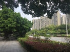 前海银鸿实景图