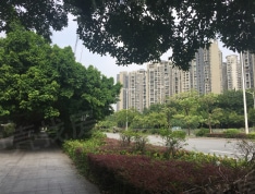 前海银鸿实景图