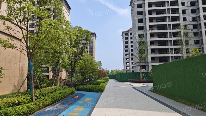 香开长龙外景图