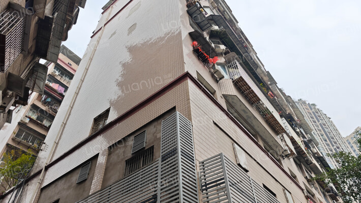 王牌路493号外景图