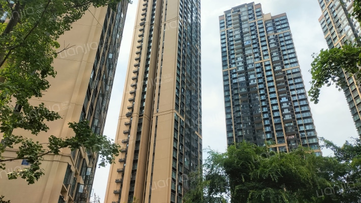 招商依云上城四期外景图