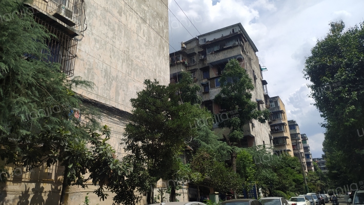 中央花园二期外景图